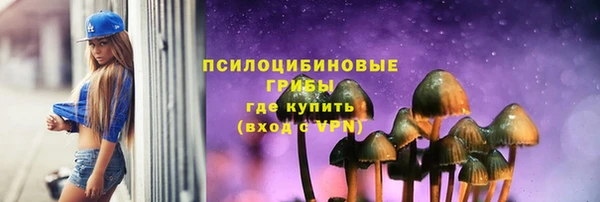 шишки Белоозёрский