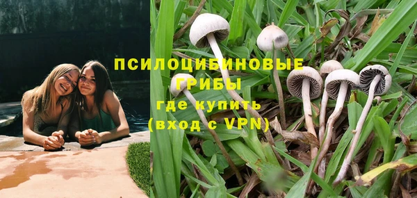 каннабис Беломорск