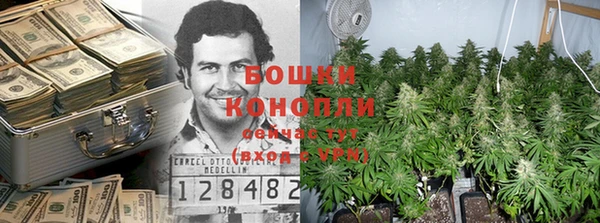 каннабис Беломорск