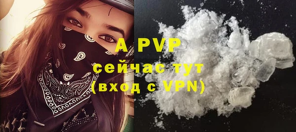 шишки Белоозёрский