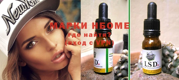 шишки Белоозёрский
