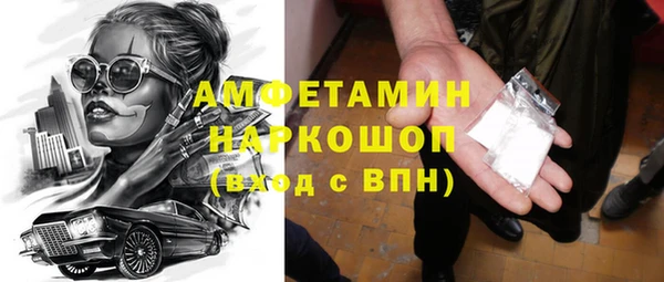 шишки Белоозёрский
