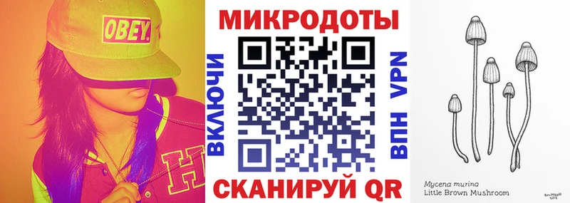 Галлюциногенные грибы прущие грибы  Купить где  Нестеров 